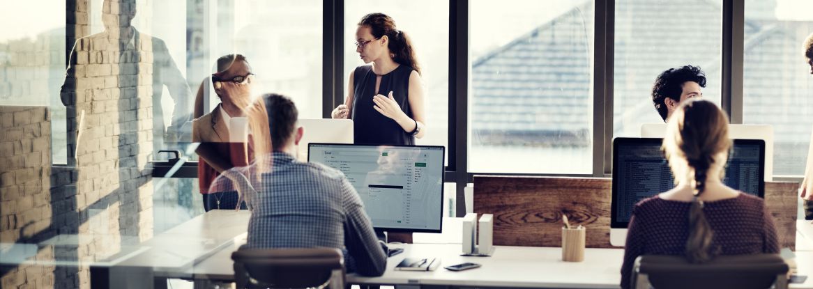 Gestionale Integrato Poleepo - Ravenna, Faenza, Imola, Forli, Cesena